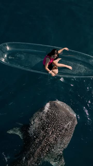 Наши ближайшие туры ✈️

Филиппины 🇵🇭
5–14 мая
Стоимость: от 870 000 тенге
Осталось всего 4 места

Бали + Куала-Лумпур 🌴🇲🇾
6–16 мая
16–26 мая
Стоимость: от 730 000 тенге
Количество мест ограничено

⸻

